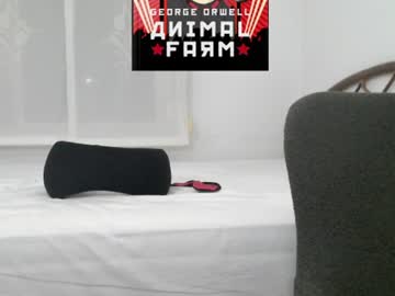 nicebrown live cam