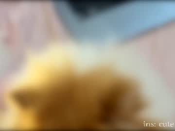 waki_lucky live cam